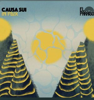 In Flux by Causa Sui